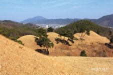 [특집 ①] 고도(古都) 고령 대가야 탐방, 봄의 한가운데로 들어가는 길을 걷다