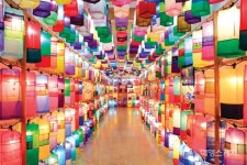 [원데이 트립] 숨은 진주 찾아 떠나는 박물관 탐험