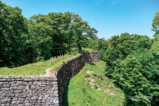 [특집 ②] 고요하게 또 평온하게, 칠곡에서 만난 초록빛 이야기