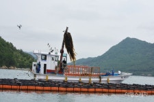 [청년어업인] 전복양식과 수산물 유통에 청춘을 걸다!  진도 청진수산 송원정