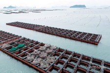 [청년어업인] 전복양식과 수산물 유통에 청춘을 걸다!  진도 청진수산 송원정