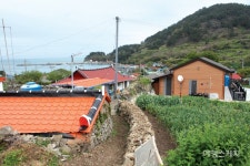 [가고 싶은 섬] 신우대가 많은 풍요로운 섬, 여수 손죽도