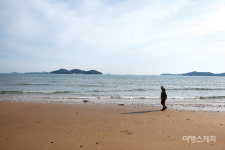 [마을따라 마음따라] 안면도로 떠나는 호젓한 여름 나들이, 태안 고남