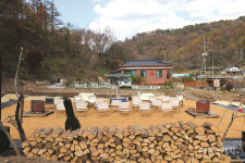 [소(所)는 누가 키우나] 삶의 공백기의 안녕을 묻고 함께 채워가는 공간  영월 커리아트홈 & 굴