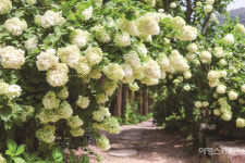 [전국카페투어] 무주, 고성, 구례에서 만난 정원이 있는 카페