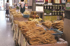 [뚜벅이를 위한 기찻길 여행]  서울에서 1시간 반이면 소백산도 간다고요?  KTX 타고 떠나는 풍기~영주역