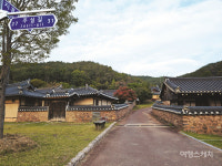 [경북여행/걷기 좋은 길] 국내 최대의 명품숲,  영양 죽파리 자작나무숲