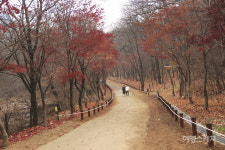 [화제의 숲] 비밀의 숲에서 시민의 숲으로 상시 개방, 서울대 안양수목원