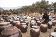 [발효 기행]  A.I도 못 건드리는 게 발효다!  발효 장인을 찾아서, 파주 구본일 발효