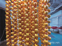 [농촌체험휴양마을] 쌀농사 없이도 별과 함께 사는 산촌마을, 장성 별내리 마을