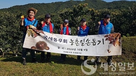 국세동우회 농촌일손돕기 운동 전개…공주밤 줍고 팔아도 주고