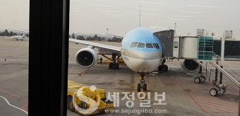 [재계리포트] 공정위, 대한항공·아시아나 합병 '조건부 승인' 배경은?