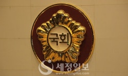 [`24 본회의 통과-관세법] 월별 성실납세 신고제도 신설 통과