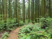 붉은오름자연휴양림, 다양한 숲체험 프로그램 운영중