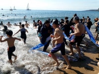 새해 첫날, 펭귄수영대회 열기 뜨거워