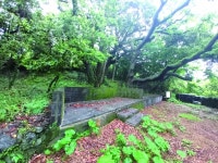 서귀포시 한남리, 이야기가 있는 문화마을로 거듭나다