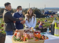 제주당근, 라이브 커머스 홍보 효과 톡톡