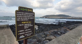제주도, 불법 해루질 행위 단속강화로 엄단