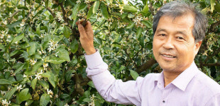 감귤농가 김종우씨, 한국 최고 농업기술 명인 