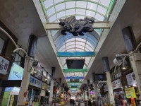 서귀포시, 전통시장 시설현대화 마무리에 총력