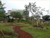 제주시, 제일중‧동중학교에 학교숲 조성