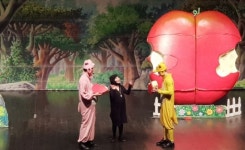 베스트셀러 어린이뮤지컬 사과가 쿵 제주공연