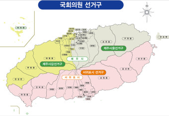 제주시을 보궐선거 전략공천 약이냐 독이 될 것인가