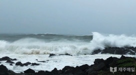 태풍 힌남노에 제주 1차 산업 피해 기정사실화