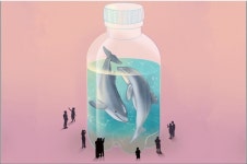 춘삼이 삼팔이 복순이 인간과 돌고래의 공존을 외치다