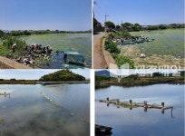 나노버블 수질 정화 장치 도입 깨끗한 바다 보전 신호탄