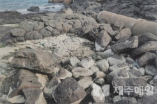 동복리해안 정체 모를 백화현상 철저히 조사해야