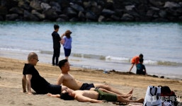 제주의 여름 속으로