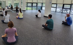 직장인 주말 요가 프로그램 진행