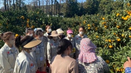 제주위미농협, 공공형 외국인 계절근로자 본격 투입