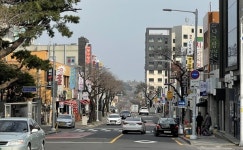 천제연로 2024년 간판개선 공모사업 선정