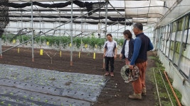 제주동부농업기술센터, 신규농업인 현장실습교육 대상자 모집
