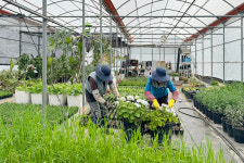 제주신화월드 아름다운 꽃밭의 숨은 비결은 직접 가꾼 정성