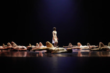 제33회 전국무용제 제주예선전 개최