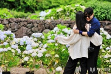 수국수국한 여름…안덕면사무소 수국 축제 찾은 시민들