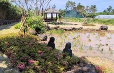 서귀포시, 12개 용천수·습지 정비