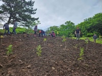 제주형 생태계서비스지불제 공동체 회복‧선순환 구조 조성 으뜸