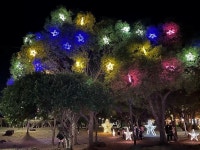 도채비 불 밝힌 신산공원으로 밤마실 어때요?