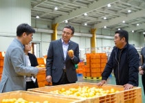오 서귀포시장, 감귤유통인과 유통 활성화 방안 논의