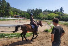 시민건강 힐링 승마교실 강습생 모집