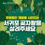 서귀포시 신규 고향사랑 지정기부금 모금 팔짱