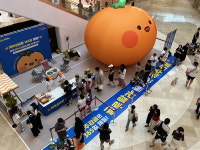 제주농협, 감귤데이 10주년 앞두고 소비 진작 박차