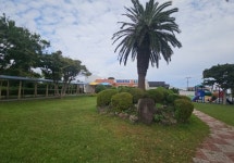 내년 서귀포초·법환초에 학교숲 조성