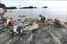 자율적 마을어장 관리·환경정화 활동이 지속가능성 기여