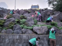 삼양동새마을부녀회, 공영주차장 환경정비