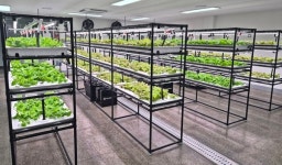 혼듸모영 스마트팜 우영뜨락 본격 운영 돌입